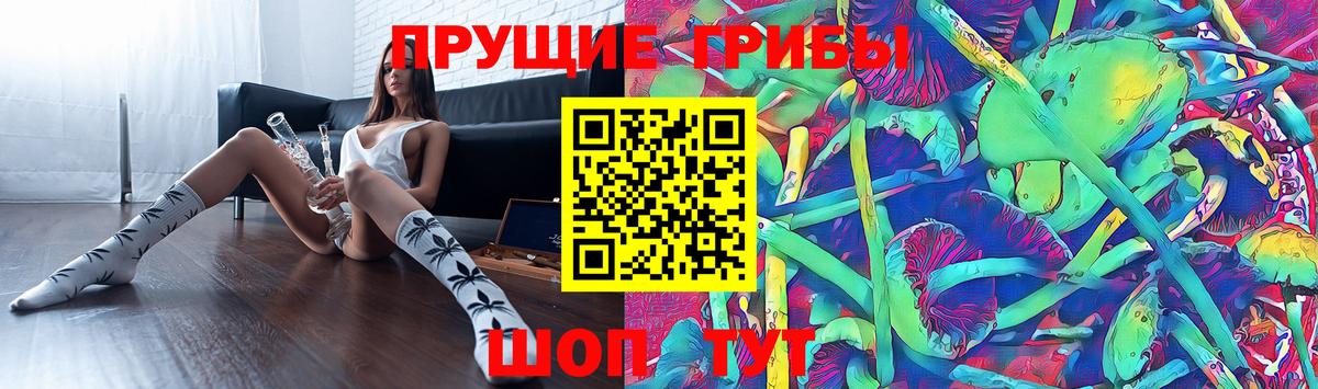 Галлюциногенные грибы прущие грибы Донецк